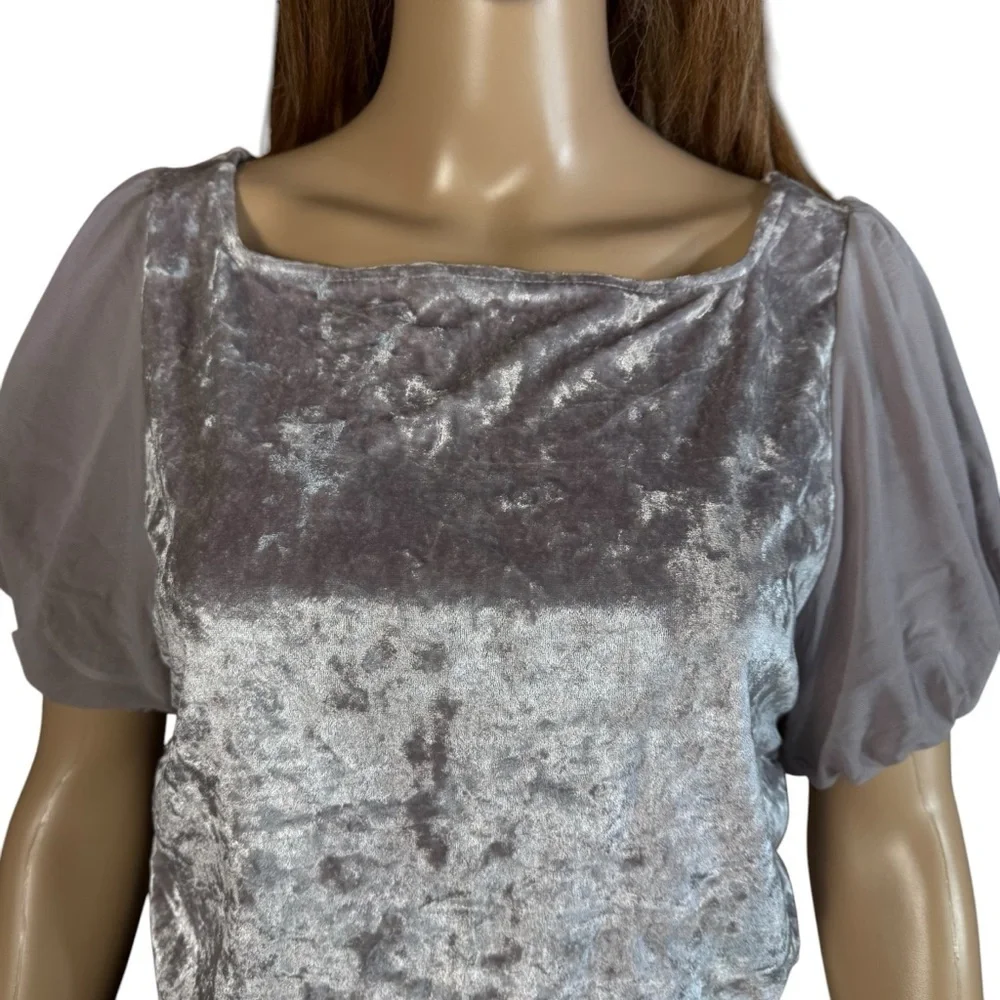 NWT New Free People Midnight Mood Velvet Grey Mauve Crop Top Size L